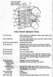 1978 Ford Mustang II photo
