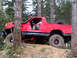 1989 Ford Bronco - This red 1989 Ford Bronco is equipped for off-roading with a snorkel and large tires, navigating a wooded trail.