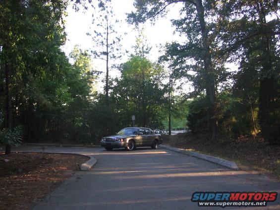 Tan 2000 Ford Crown Victoria parked on asphalt with trees in the background