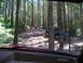 1989 Ford Bronco - A blue Toyota pickup truck navigates a challenging off-road trail through a dense forest.