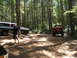 1989 Ford Bronco - Two off-road vehicles are parked in a sun-dappled clearing surrounded by tall trees.