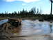 1989 Ford Bronco - Two trucks navigate a muddy water crossing in a wooded area.