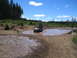 1989 Ford Bronco - Truck navigating a muddy obstacle course on a sunny day.