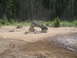 1989 Ford Bronco - A modified pickup truck navigates an obstacle course in a wooded area.
