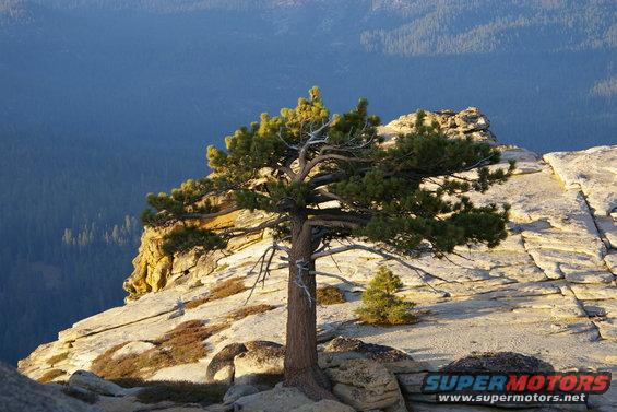 little-shut-eye-lookout-062.jpg 