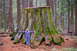 IMGP0371.JPG