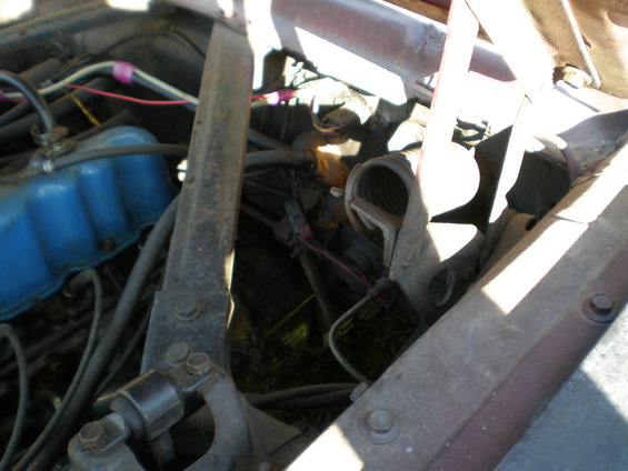 Close-up of a car's engine bay with blue valve covers and various hoses and wires