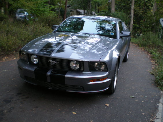 mustang-082.jpg 
