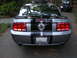 1966 Ford Mustang - This Ford Mustang features a prominent GT badge and racing stripes on its rear.