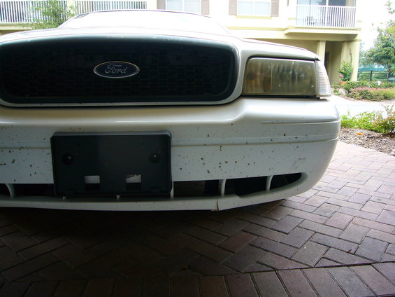 Front of a white 2001 Ford Crown Victoria with a black grille and a license plate bracket