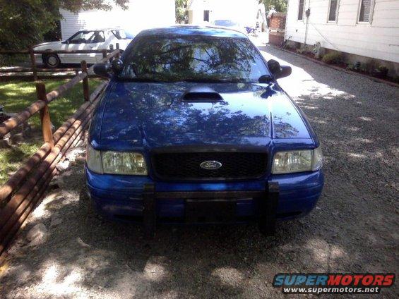 Fake hoodscoop