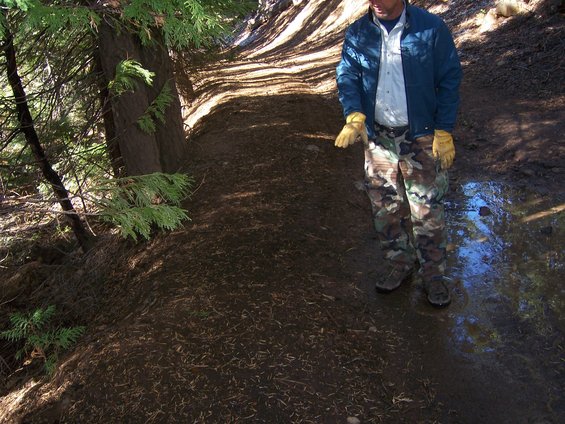 Person in camouflage pants and blue jacket stands on a dirt path in a wooded area. Sunlight filters through trees