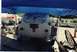 1959 Ford Thunderbird - this is a trailer i saw at Hot August Nights in Reno. it was sold before i saw it but i really would like to get something like this to hau…