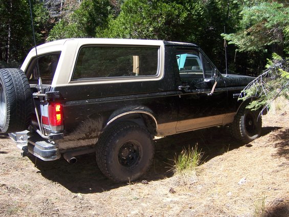 Black and tan Ford Bronco parked on a dirt road with trees around