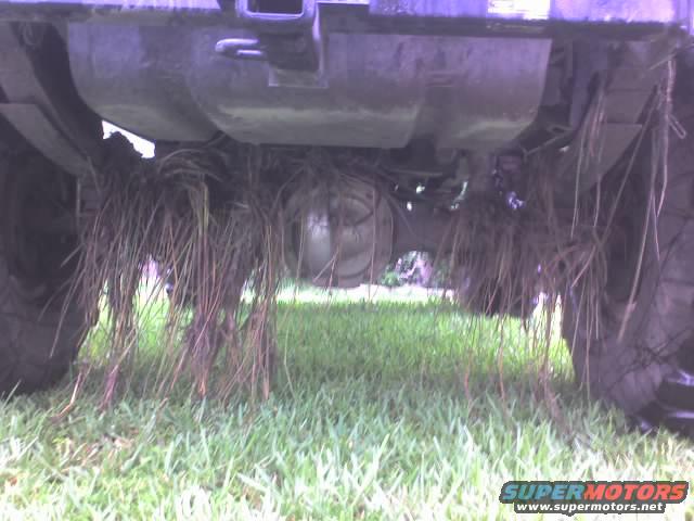 Undercarriage of vehicle with grass caught on rear axle and suspension