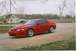 2002 Ford Mustang - untamed racing