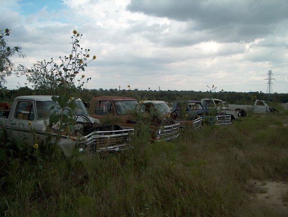 Several old trucks in a junkyard, front view. The grille on the closest truck appears to be from the late 1970s