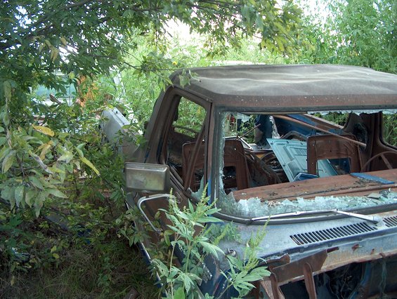 Rusted 1978 Ford Bronco interior and front end overgrown with weeds, broken windshield
