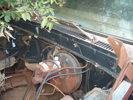 Rusty engine bay of a 1978 Ford Bronco with overgrown foliage and a cracked windshield