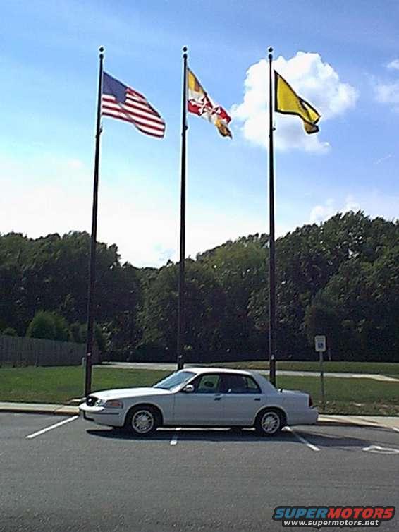 image01.jpg 