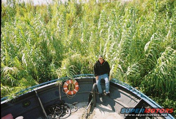 guy sitting on bow of boat surrounded by tall reeds