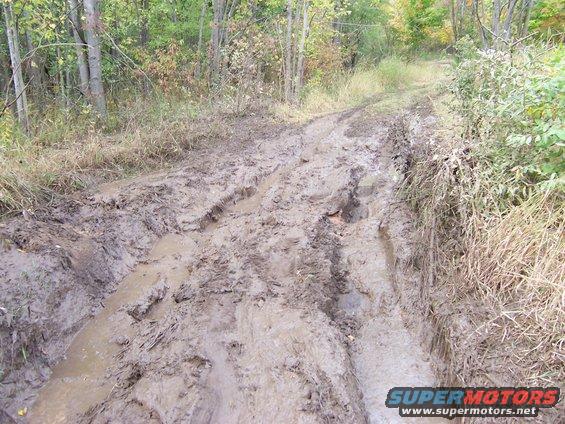 muddy track through trees, tire ruts visible