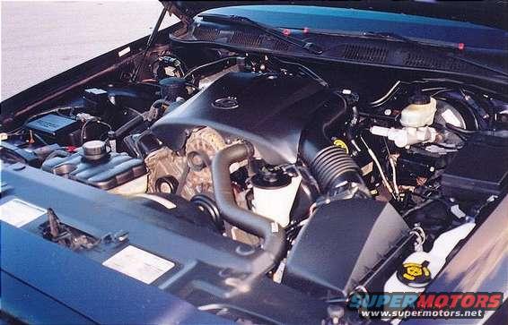 Engine bay of a Ford Crown Victoria with the hood open
