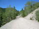 1996 Jeep Cherokee - A dirt road ascends a mountain slope, flanked by trees and clear blue sky.