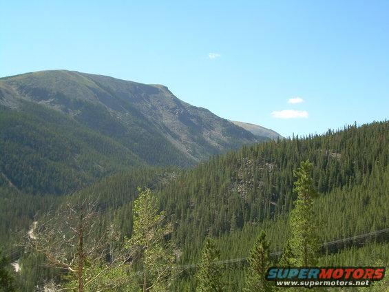 Mountain landscape with dense pine forest, a winding road visible in the distance, and a clear blue sky