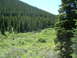 1996 Jeep Cherokee - A white SUV is visible in a scenic mountain valley surrounded by dense pine trees and green undergrowth.