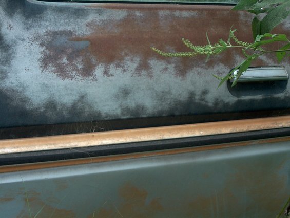 close-up of a rusty vehicle door with a chrome handle and weeds growing on it
