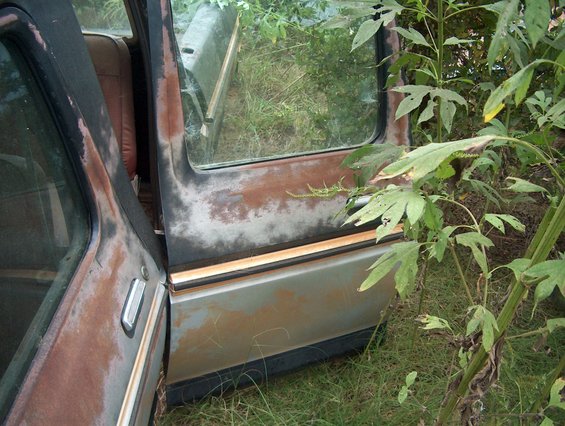 rusted door and interior of a 1978 Ford Bronco with open door, overgrown with plants