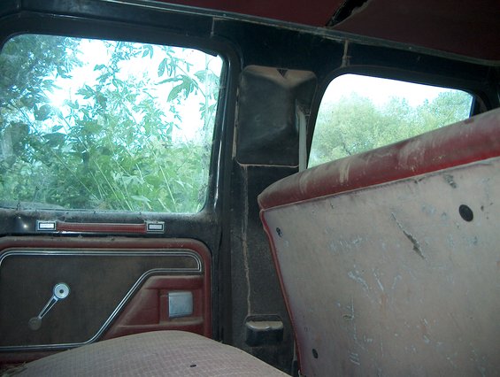 Interior door panel and seat of a weathered vehicle, with overgrown vegetation visible through the windows