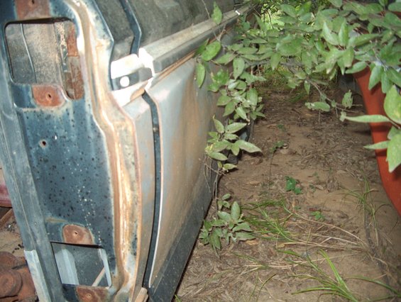 rusted car door frame with foliage growing around it, showing dirt and grass on the ground