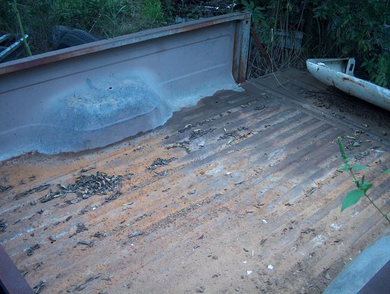 Rusted truck bed with debris and overgrown weeds