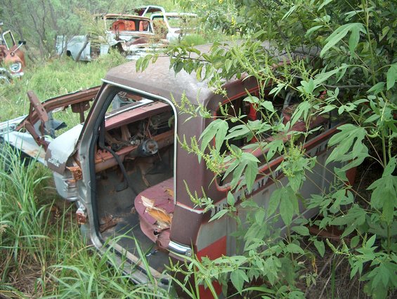 Interior of a rusty, overgrown truck with torn seats and a damaged dashboard