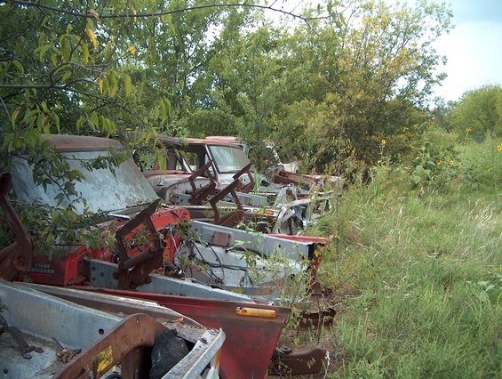 Several old vehicles in a junkyard, overgrown with weeds and trees. The front of a red vehicle is visible