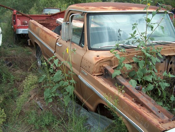 Rusty brown pickup truck, 3/4 front view, overgrown with weeds. Another red truck is visible behind it