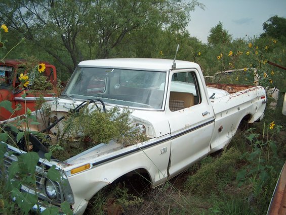 Abandoned white pickup truck with weeds growing through the engine bay. Another red truck is visible to the left