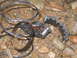 1989 Ford Bronco - A damaged automotive belt lies on the ground, its internal structure exposed amidst rocks and mud.