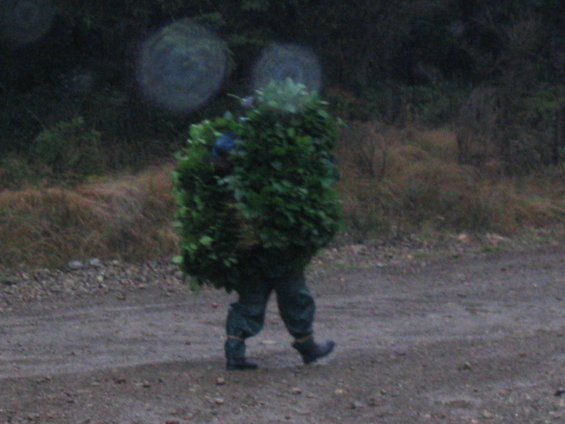 100607-011.jpg This guy was walking down one of the logging roads.  WTF?!?!