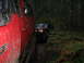 1989 Ford Bronco - Two off-road vehicles navigate a narrow, muddy trail through a dense forest.