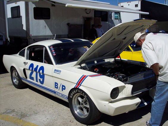 White 1965 Ford Mustang GT350 race car with blue stripes and number 219, hood open, man looking at engine. Another yellow car behind it