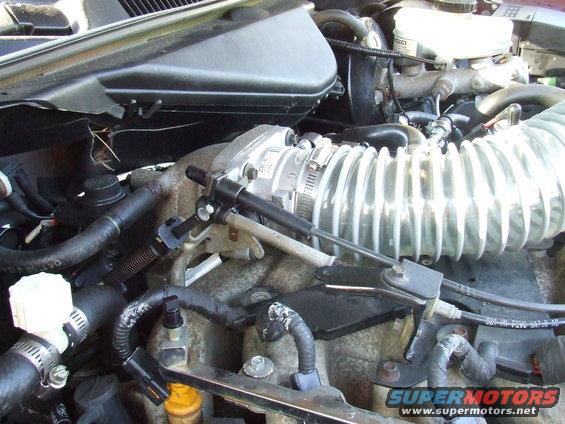 Engine bay with cold air intake and throttle body