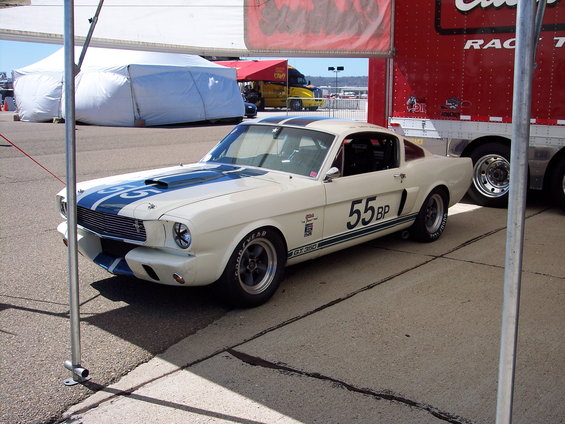 White 1965 Shelby GT350 race car with blue stripes and number 55BP