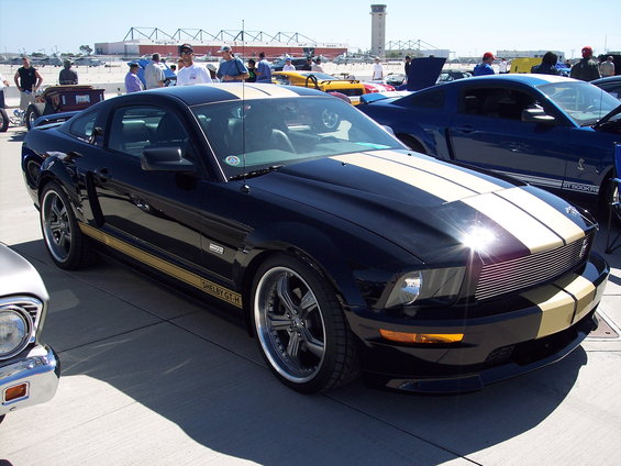 Black 2007 Ford Mustang Shelby GT-H with gold stripes parked next to a blue Mustang