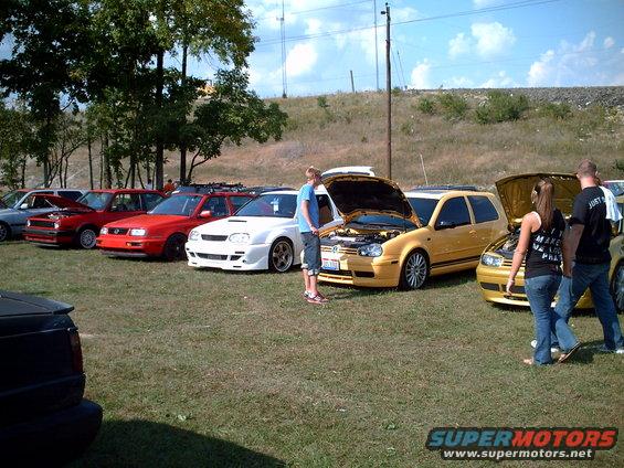 Several modified VW Golfs parked on grass, some with hoods open