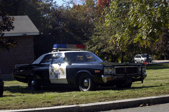 police car with "HIGHWAY PATROL" on door, parked on grass near trees