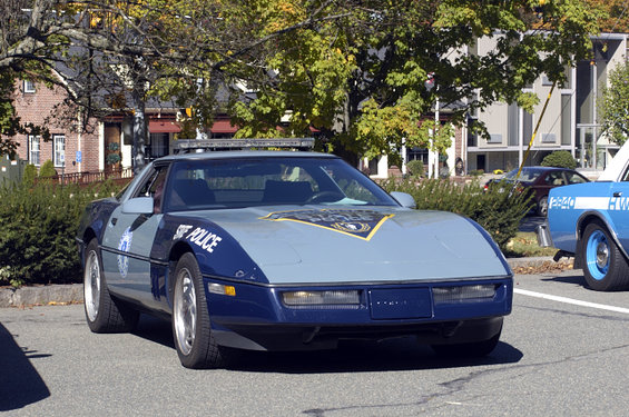 Blue and grey police car with "STATE POLICE" text on the fender, parked outdoors