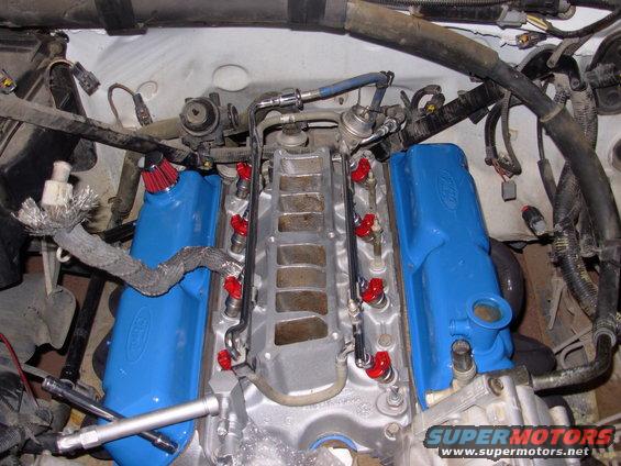 Ford V8 engine with blue valve covers and red fuel injectors